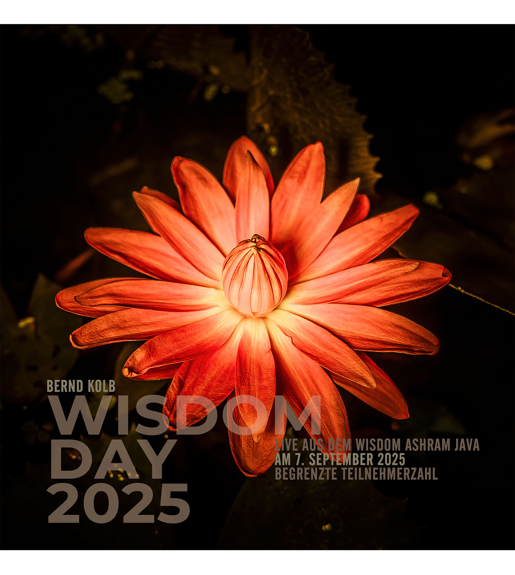 Product Thumbnail - Wisdom Day (Lotus)